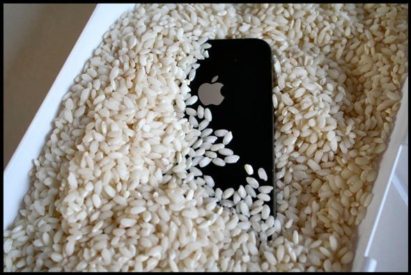 Smartphone in rice