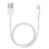 Cable Lightning / USB Apple ME291ZM/A - Blanco - 0.5m