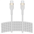 Cable de Carga USB-C Apple MUF72ZM/A - 1m