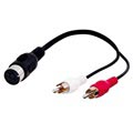 Cable Adaptador Goobay 5 Pin DIN /2x RCA - 0.2m