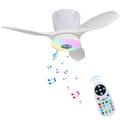 LEC016R Luz de ventilador de techo RGB con altavoz Bluetooth - Blanco