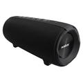 Niceboy Raze 3 Titan Altavoz Bluetooth impermeable con radio FM - 50W - Negro