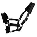 Cabestro acolchado 25mm - Talla XL - Negro