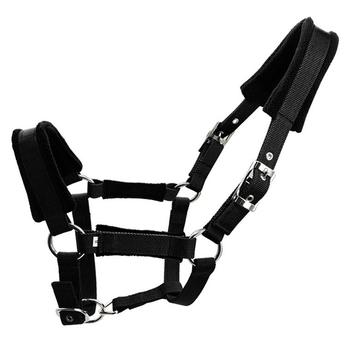 Cabestro acolchado 25mm - Talla XL - Negro