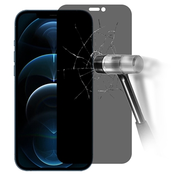 Protector de Pantalla de Cristal Templado - 9H Privacidad para iPhone 12/12 Pro