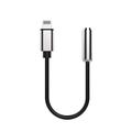 Adaptador de Lightning a 3,5 mm con certificación MFI ProXtend - Negro / Plata