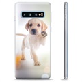 Funda de TPU para Samsung Galaxy S10+ - Perro
