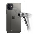 Protector de Carcasa Trasera de Cristal Templado 5D para iPhone X / iPhone XS - Negro