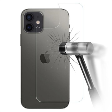 Protector de Carcasa Trasera de Cristal Templado 5D para iPhone X / iPhone XS - Negro