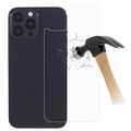 Protector de Carcasa Trasera de Cristal Templado 5D para iPhone X / iPhone XS - Negro