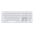 Teclado con Teclado Numérico Apple Magic