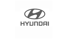 Soporte salpicadero (para Hyundai)