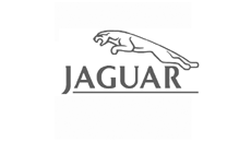 Soporte salpicadero (para Jaguar)