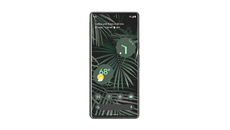 Google Pixel 6 Pro Funda & Accesorios