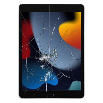 iPad 9.7 (2018) Reparación de la Pantalla de Cristal & Pantalla Táctil - Negra