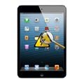 iPad Mini 3 Diagnóstico