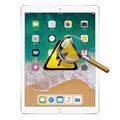 iPad Pro 12.9 Diagnóstico