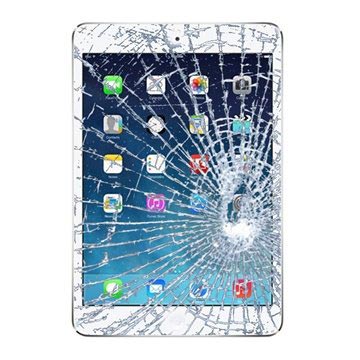 iPad mini 2 Reparación de la Pantalla de Cristal & Pantalla Tácti