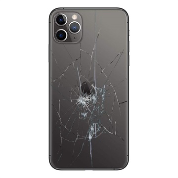 Reparación de la tapa posterior del iPhone XS - Solo cristal - Negro