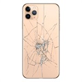 Reparación de la tapa posterior del iPhone XS - Solo cristal - Negro