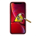 iPhone XR Diagnóstico